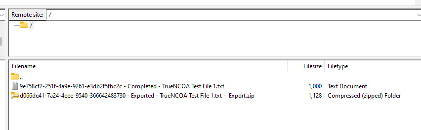 Completed File with Export File
